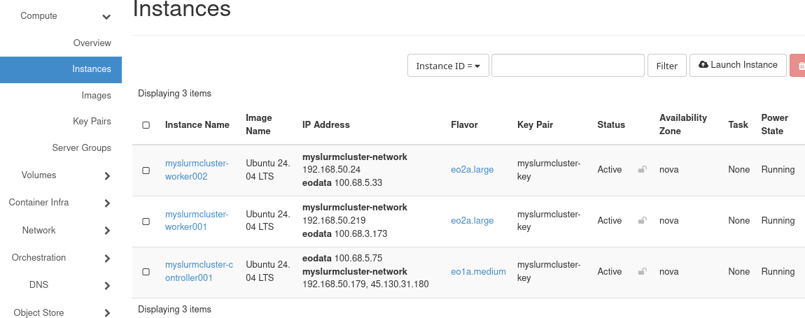 Horizon Instances page showing the SLURM controller and two workers as Active and Running.