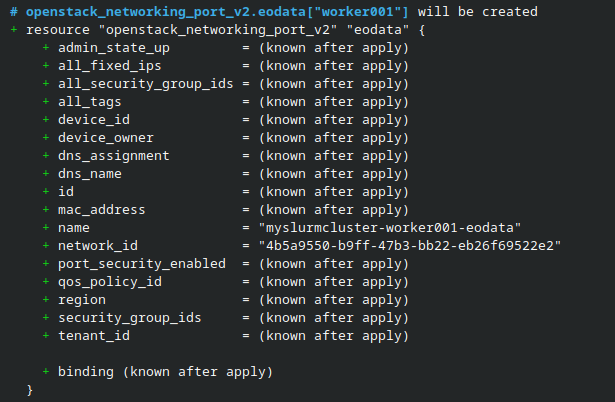 Terraform plan showing the EODATA network port for worker001.