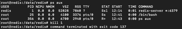 ../_images/redis_kill.png